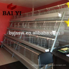 A Type Chicken Layer Cage For Sale For Africa Market